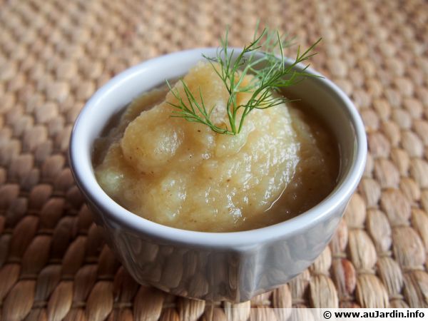 Compote pommes-fenouil