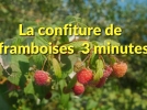 Confiture de framboises 3minutes