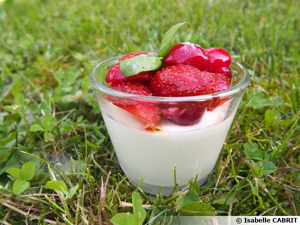 Crème de yaourt au chocolat blanc et fraises