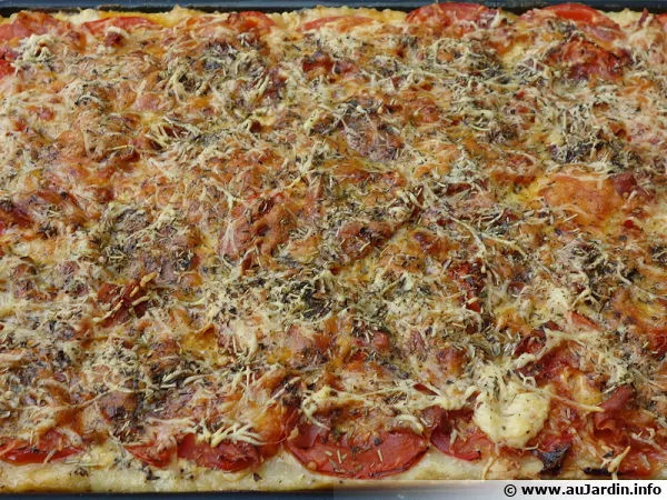 Fougasse Jambon cru & 2 fromages