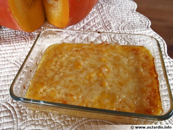 Gratin de courge (butternut, potiron...)