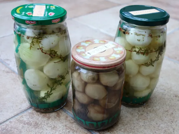 Oignons au vinaigre