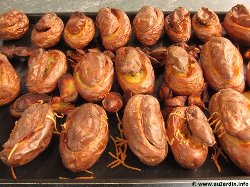 Patacons