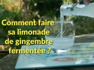 Comment fabriquer soi-mme sa limonade de gingembre fermente ?