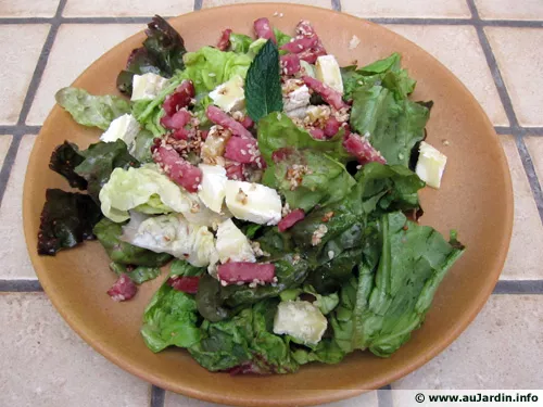 Salade de chvre et lardons au ssame
