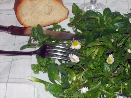 Salade "d�sherbage de la pelouse"