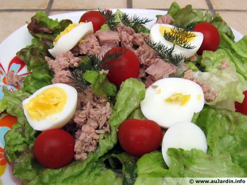 Salade du pêcheur