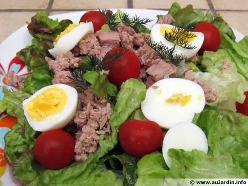 Salade du pêcheur