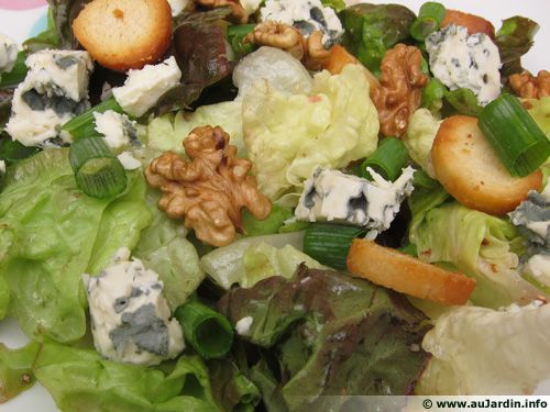 Salade de roquefort & noix