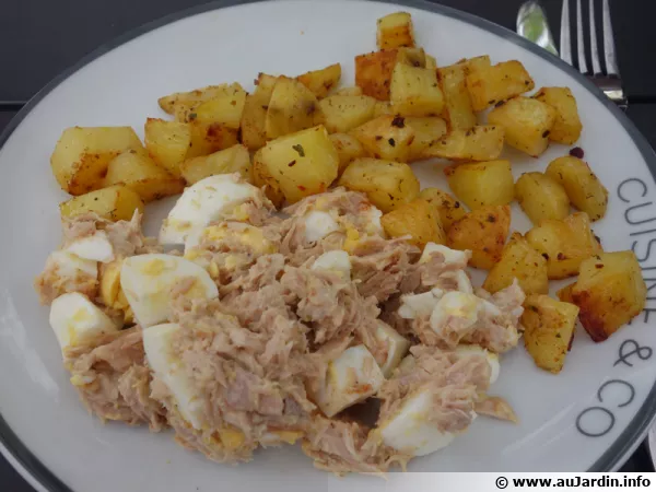 Thon aux oeufs