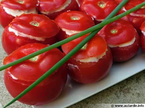 Tomates farcies au chèvre frais