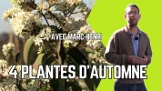 4 arbustes pour embellir l'automne