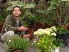 Am�nager un jardin blanc : valeurs s�res et feuillages exotiques