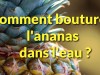 Comment bouturer un ananas dans l'eau�?