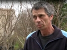 La taille des arbres fruitiers 