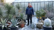 Jardinage en hiver : faut-il continuer � arroser ses plantes ?