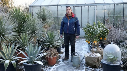Jardinage en hiver : faut-il continuer � arroser ses plantes ?