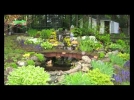 Les bassins de jardin 