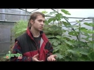 Bien choisir ses plantes de haie 