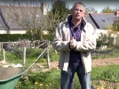 Quels sont les bienfaits de la tomate ?