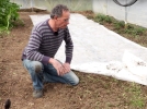 La biofumigation sous serre
