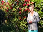 Rince-bouteille (Callistemon) : l'arbuste australien r�sistant � la s�cheresse