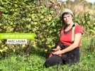 Comment raliser une bouture de petit fruitier comme le cassissier ?