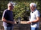 Comment choisir ses abeilles ?