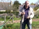 Comment choisir ses tomates ?