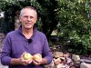 Comment conserver ses pommes et ses poires tout l'hiver ?