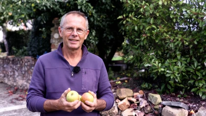 Comment conserver ses pommes et ses poires tout l'hiver ?