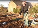 Comment planter de l'ail d'automne ?
