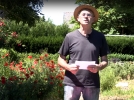 Comment planter et entretenir la pomme terre&nbsp;?