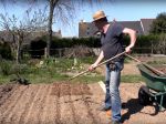 Comment planter les oignons ?