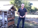 Construire votre htel  insectes