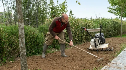 Mise en place d'une pelouse, les �tapes essentielles