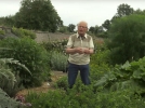 Cration d'un potager, emplacement, mise en uvre, amnagement, eau, parcelles