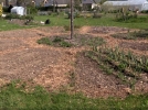 Crer un jardin mange, simple et efficace pour votre potager