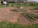Cr�er un jardin man�ge, simple et efficace pour votre potager