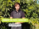 Comment cultiver l'avocatier�?