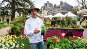 Cultiver la m�lisse : conseils, vari�t�s et bienfaits