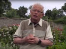 L'entretien du potager