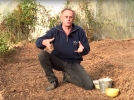 Quel entretien pour la serre de jardin aprs la pleine saison ?