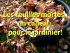 Les feuilles mortes, un cadeau pour le jardinier