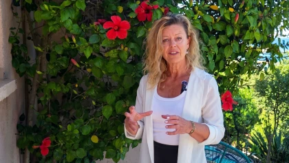 Hibiscus en pot ou en terre : les conseils pour le garder �clatant