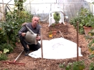 Quelques ides de plantations sous serre aprs l't