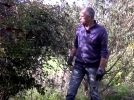 Quel est l'intrt des ronces au jardin ?