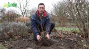 Jardiner en hiver : quelles plantes installer et lesquelles �viter absolument ?