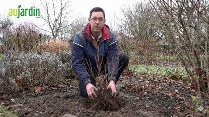 Jardiner en hiver : quelles plantes installer et lesquelles �viter absolument ?