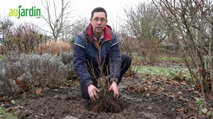 Jardiner en hiver : quelles plantes installer et lesquelles �viter absolument ?